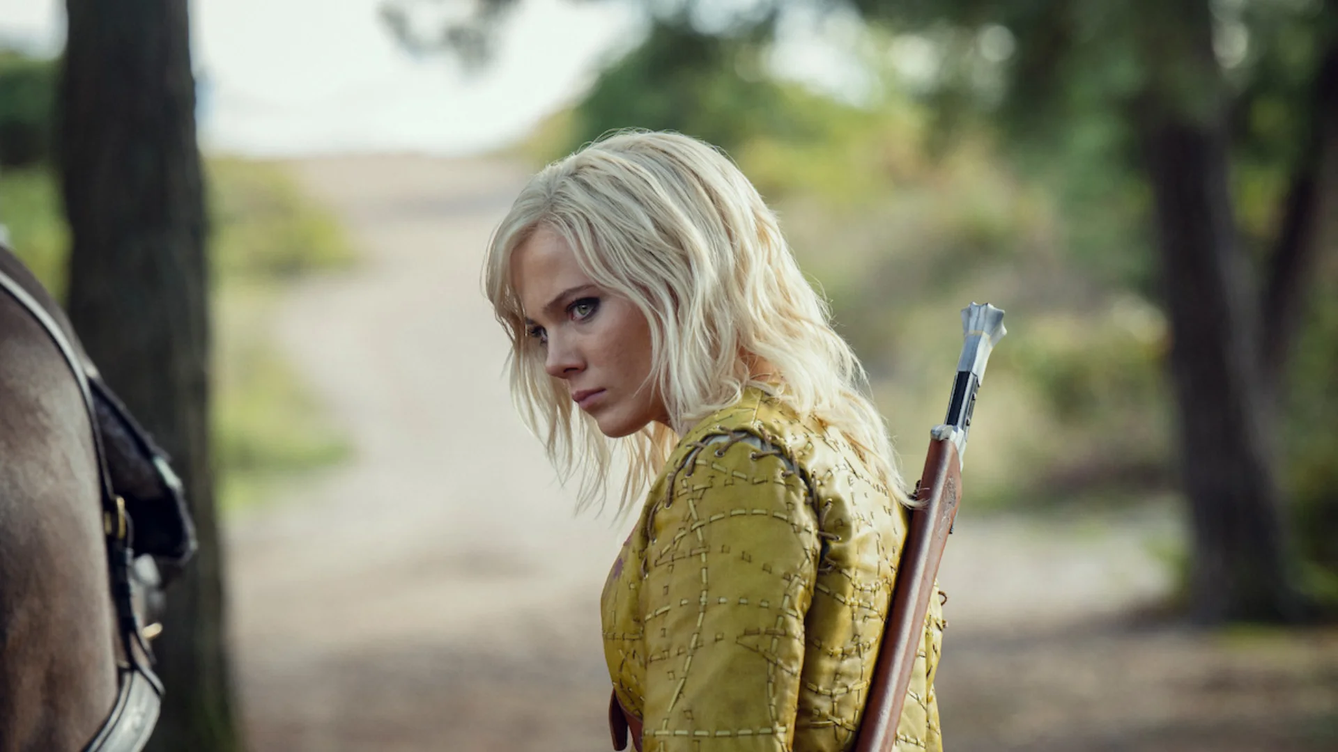 The Witcher
